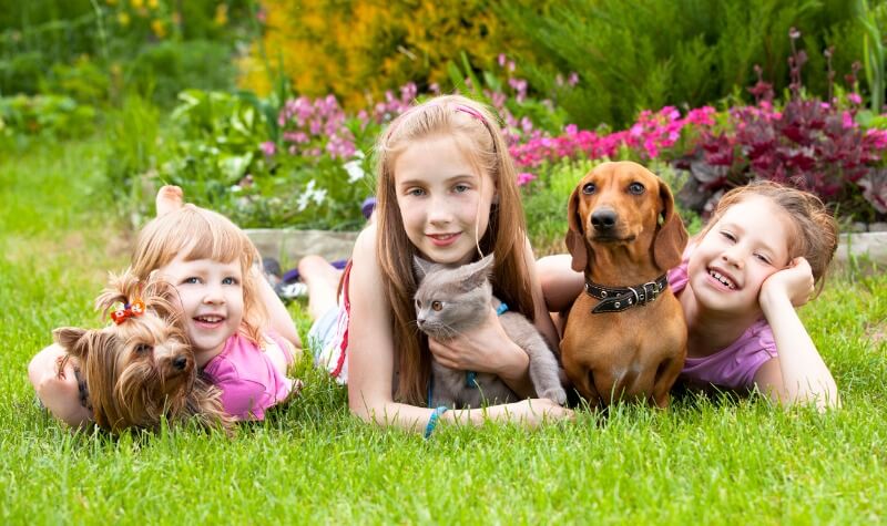 As melhores opções de pets para crianças!